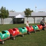 Wainfleet Fall Fair 2009